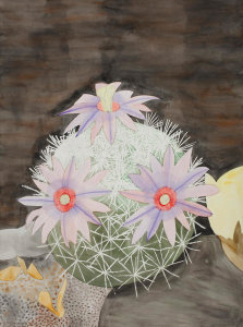 Musette Perkins - Untitled (Cactus Flower), 2010